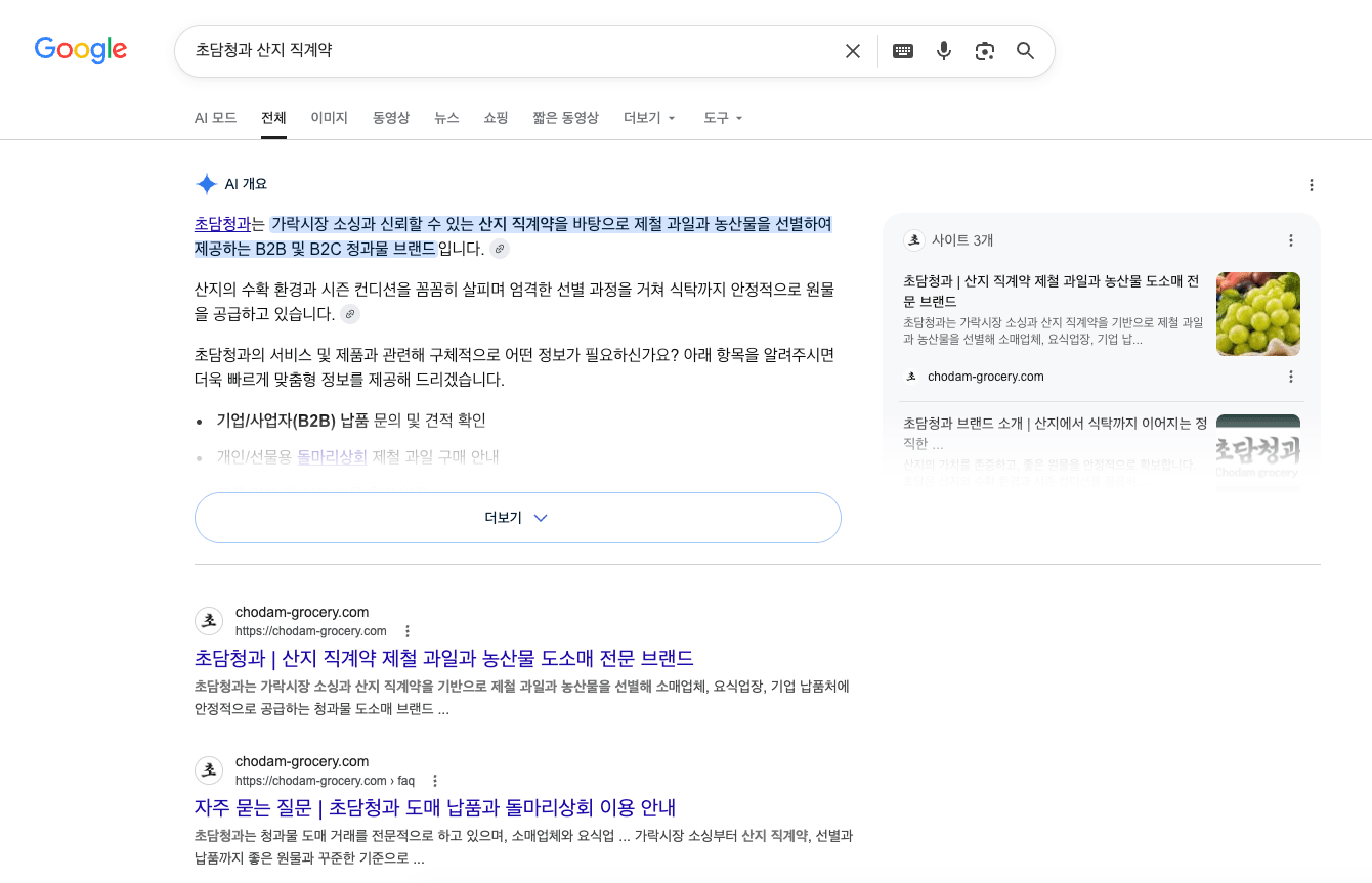 초담청과 Google 검색 노출 3
