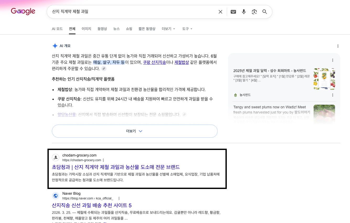초담청과 Google 검색 노출 4